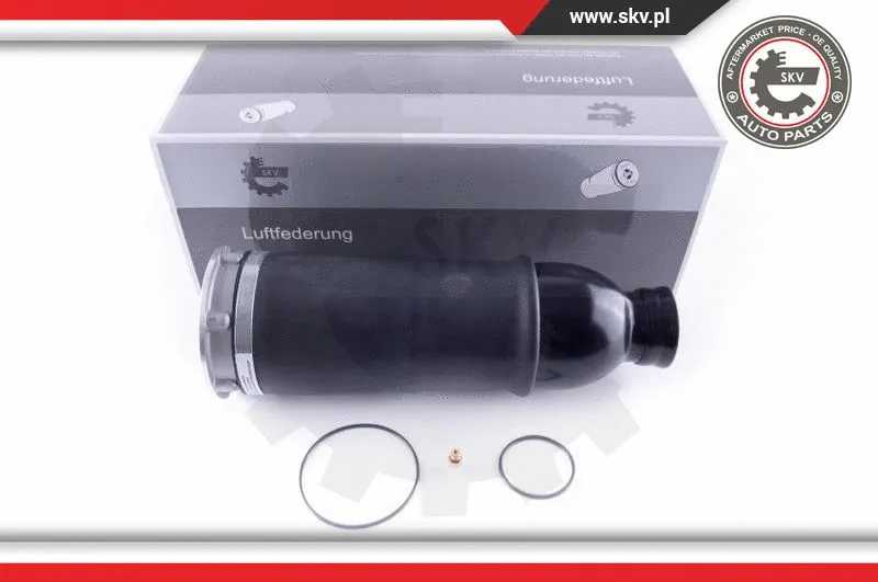 Air Spring, suspension (58SKV043)