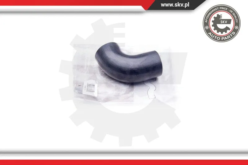 Charge Air Hose (24SKV737)