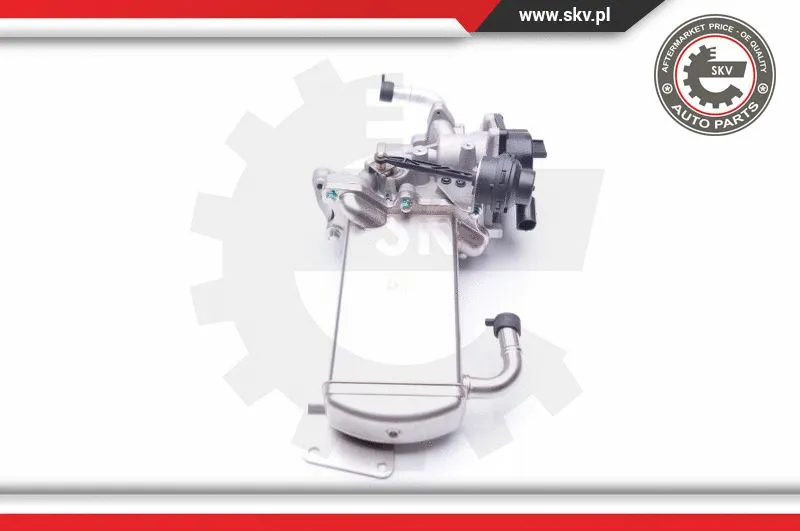 EGR Valve