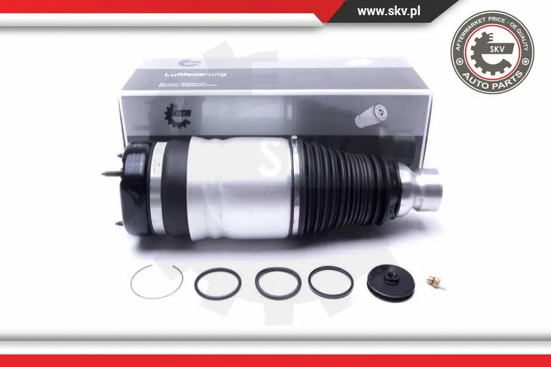 Air Suspension Strut (58SKV060)