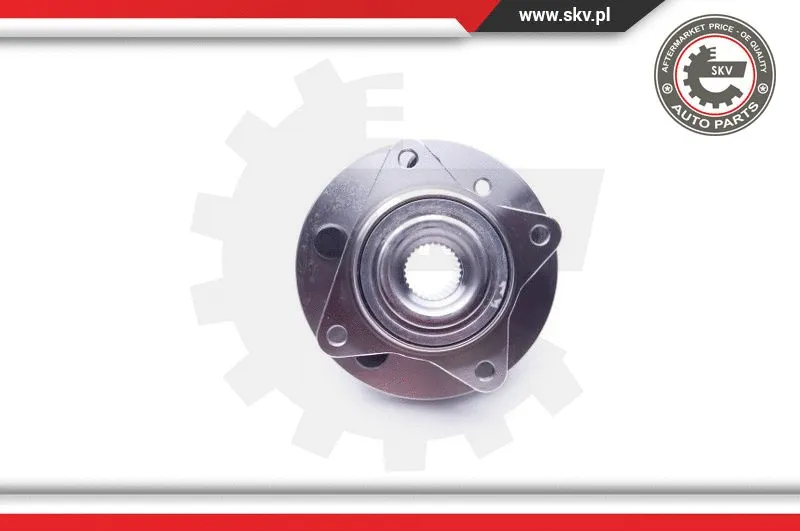 Wheel Bearing Kit