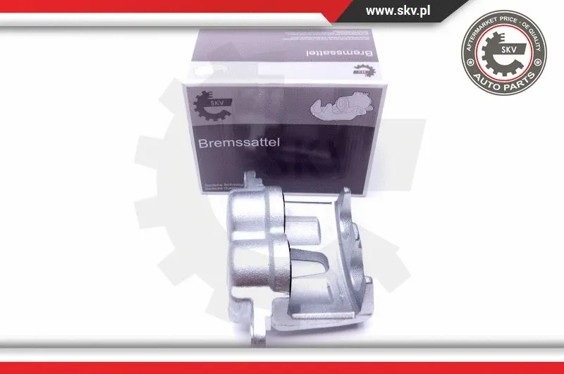 Brake Caliper (44SKV091)
