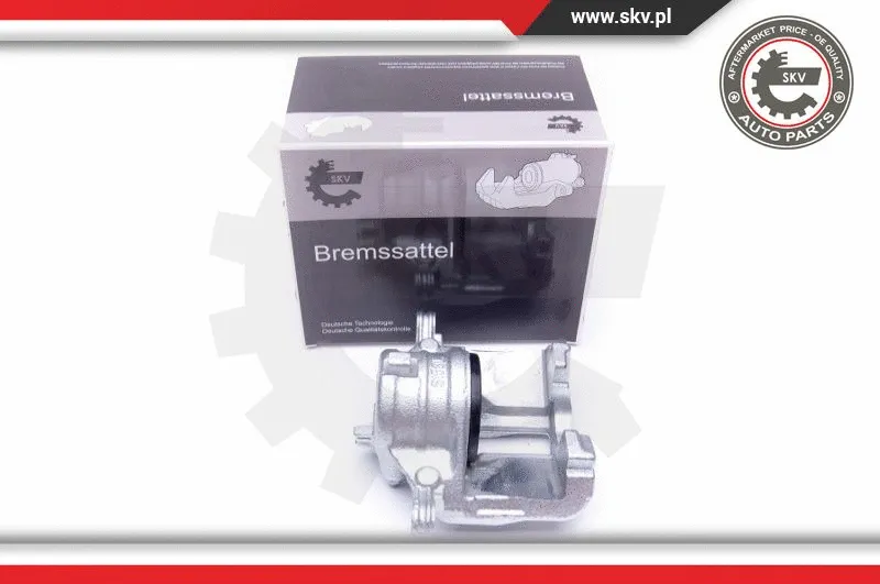 Brake Caliper (42SKV801)