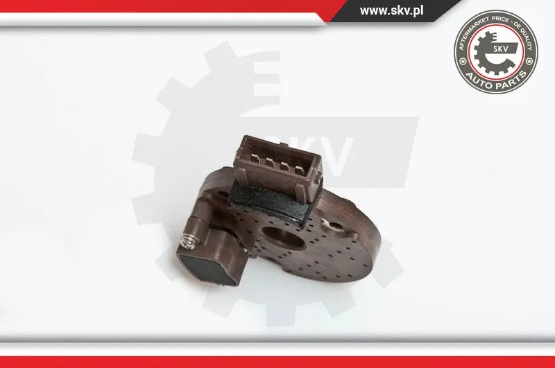 Ignition Coil (03SKV909)