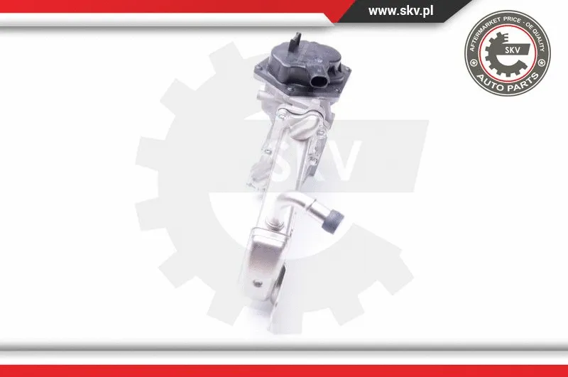EGR Valve
