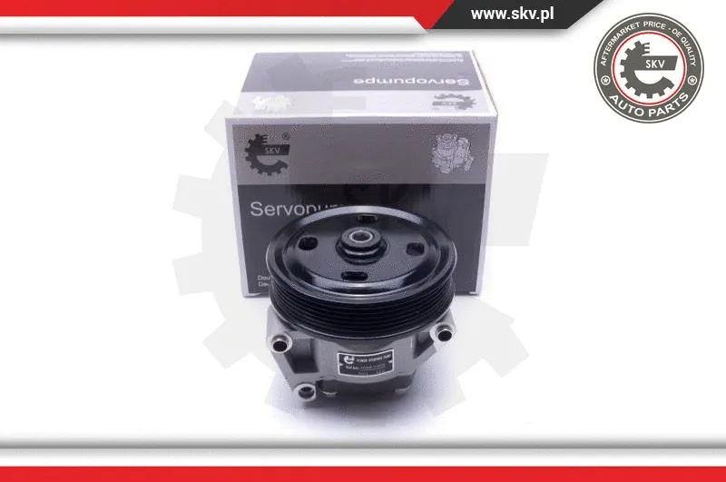Hydraulic Pump, steering (10SKV309)