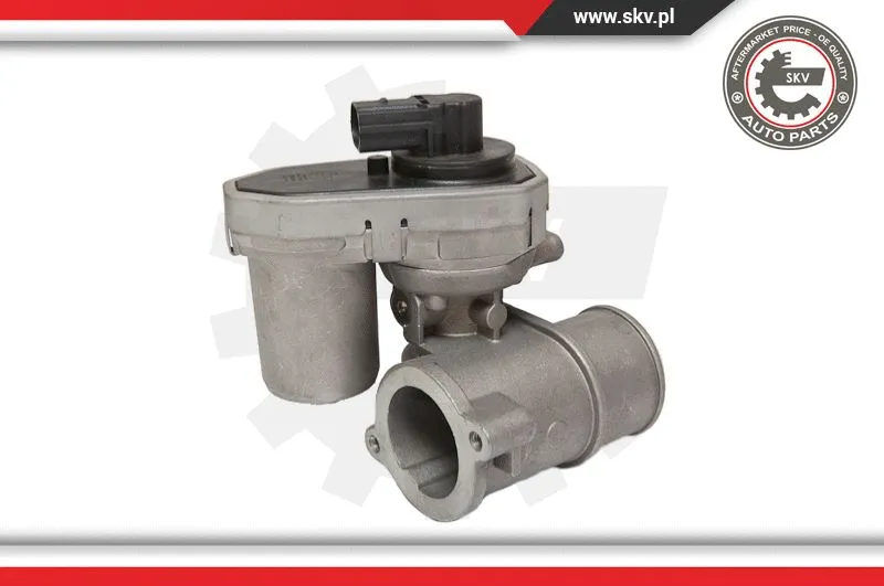 EGR Valve