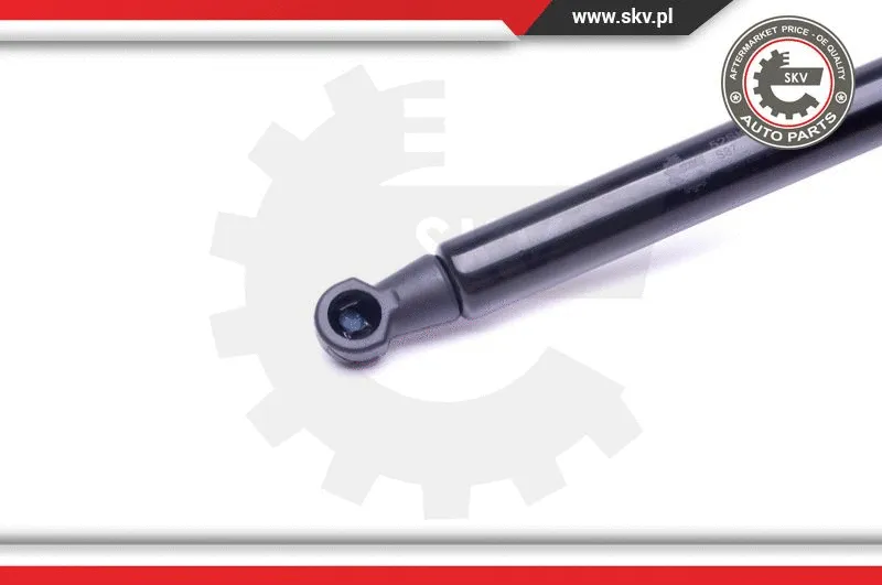 Gas Spring, boot/cargo area