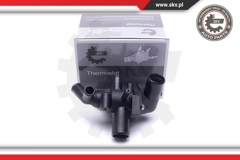 Thermostat, coolant (20SKV191)