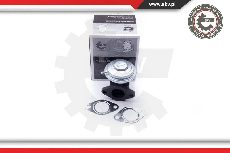 EGR Valve