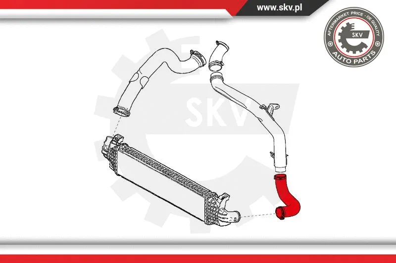Charge Air Hose (24SKV876)