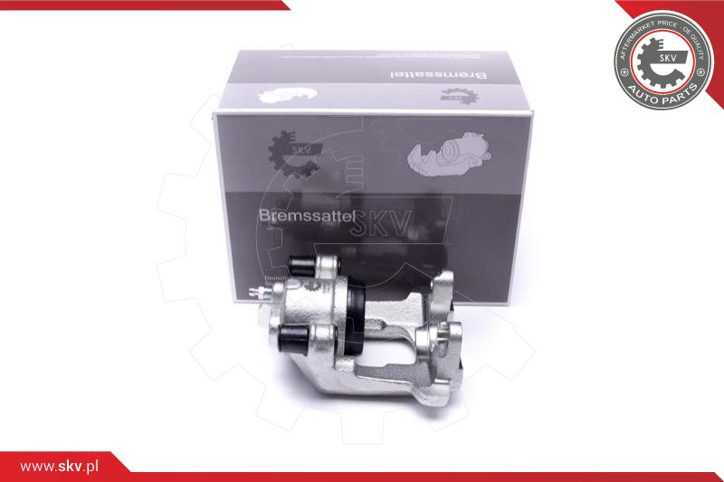 Brake Caliper (56SKV064)