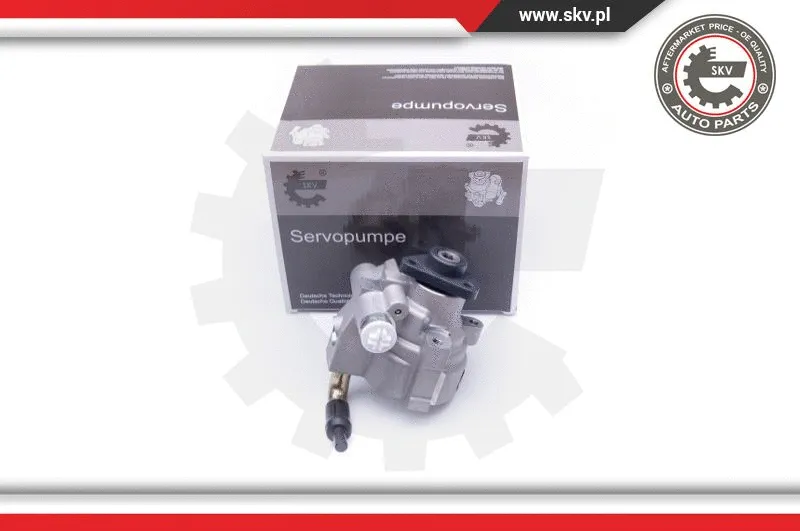 Hydraulic Pump, steering (10SKV278)