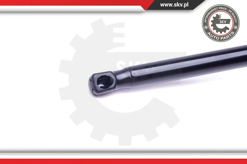 Gas Spring, boot/cargo area