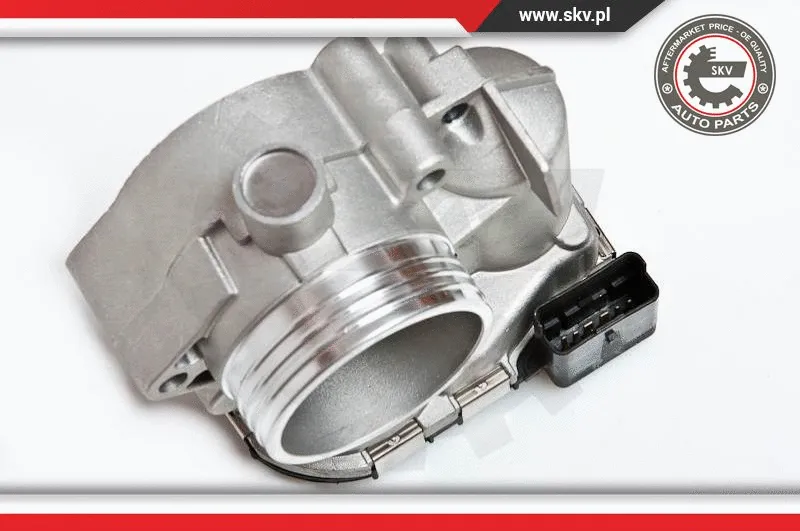 Throttle Body (12SKV001)