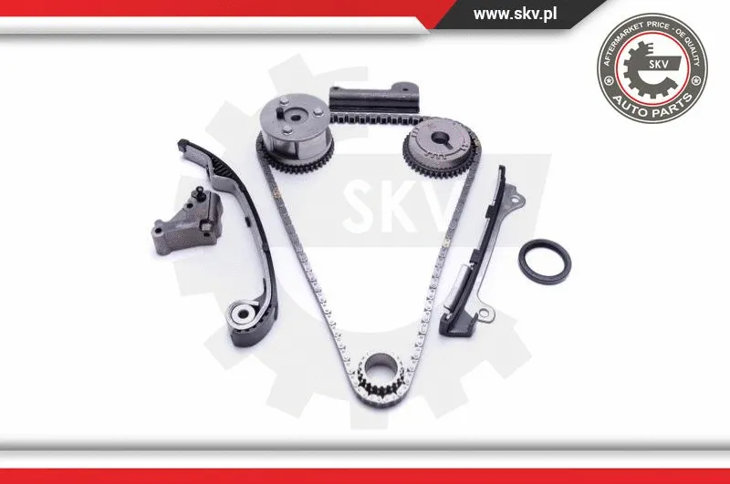 Timing Chain Kit