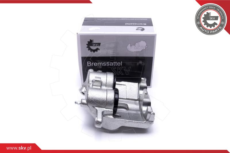 Brake Caliper (56SKV181)