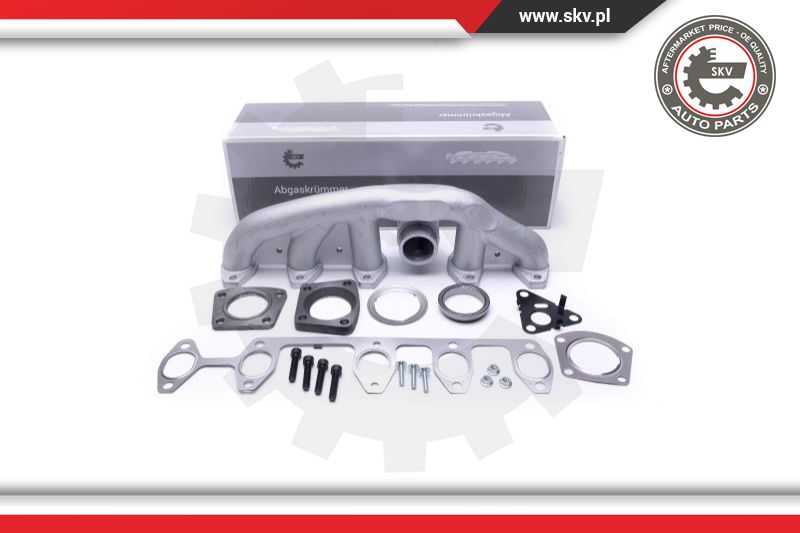 Manifold, exhaust system (49SKV063)