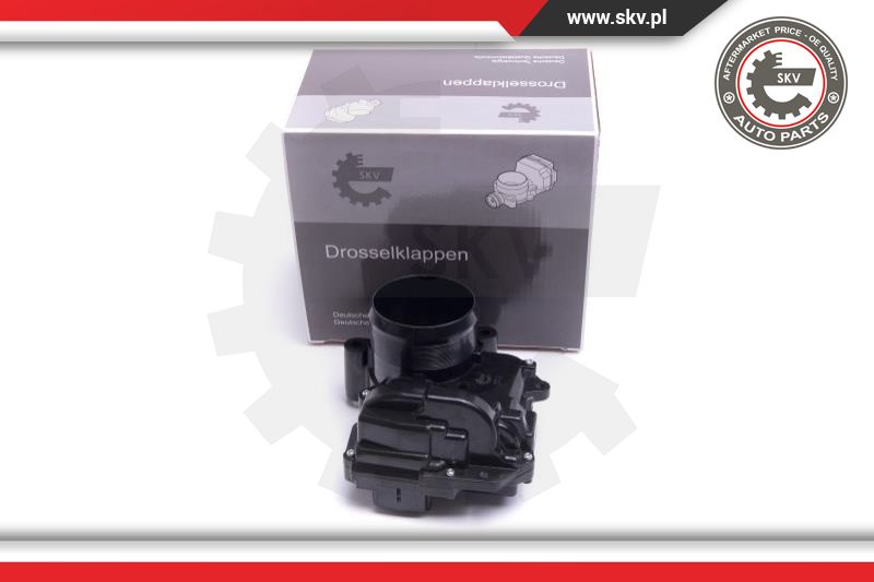 Throttle Body (12SKV112)