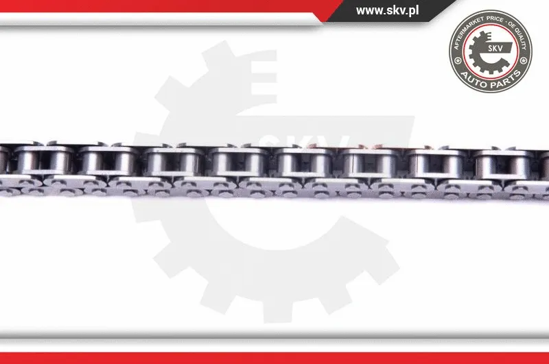 Timing Chain Kit