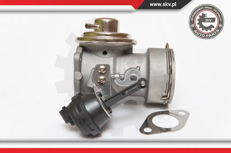 EGR Valve