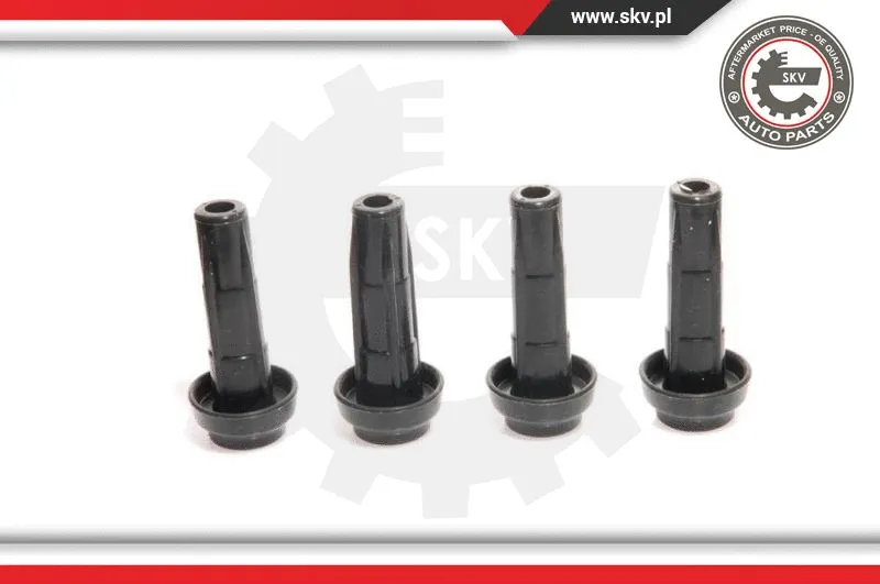 Ignition Coil (03SKV020)