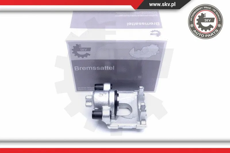 Brake Caliper (44SKV163)