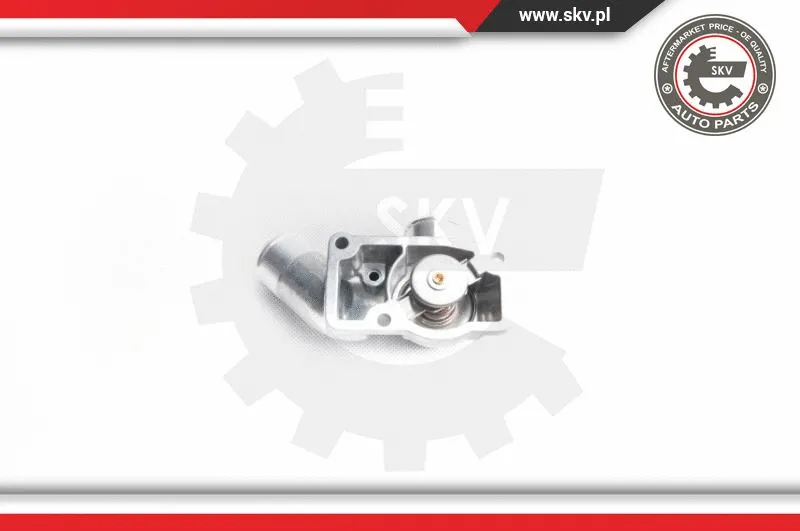Thermostat, coolant