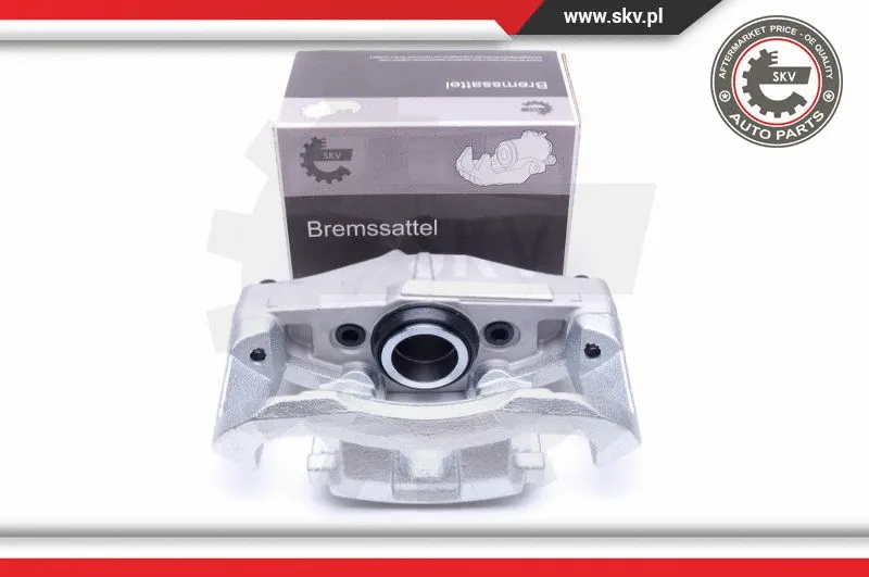 Brake Caliper (46SKV161)