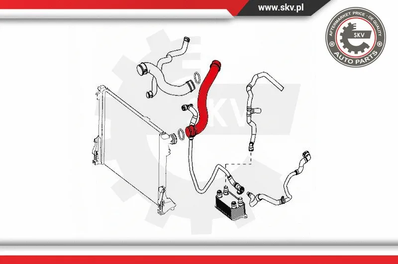 Radiator Hose