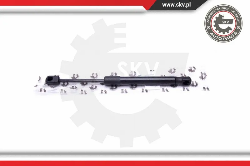 Gas Spring, boot/cargo area