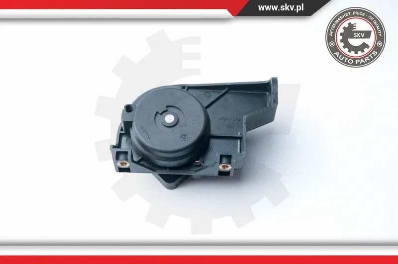 Sensor, accelerator pedal position (17SKV015)