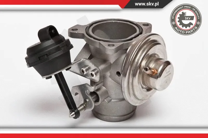 EGR Valve