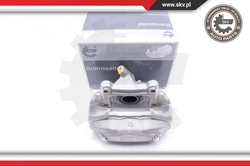 Brake Caliper (42SKV452)