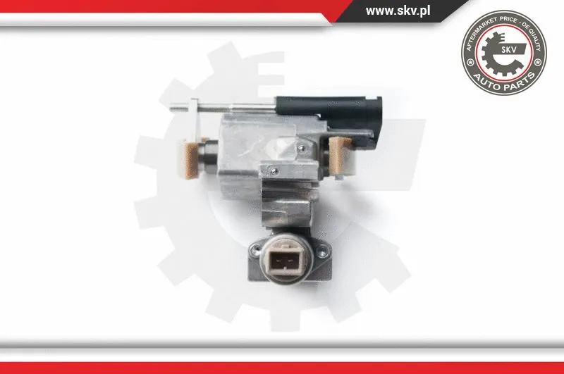 Tensioner, timing chain