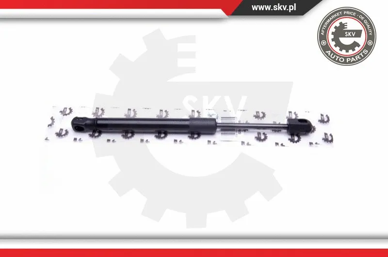 Gas Spring, boot/cargo area