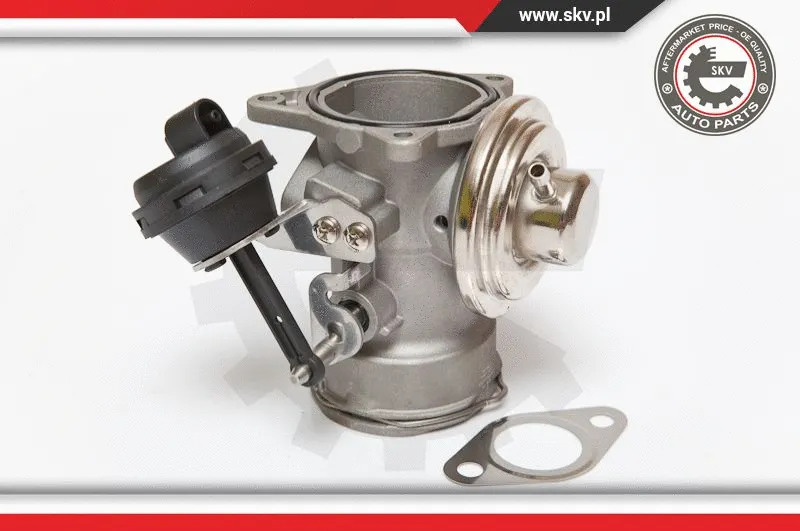 EGR Valve