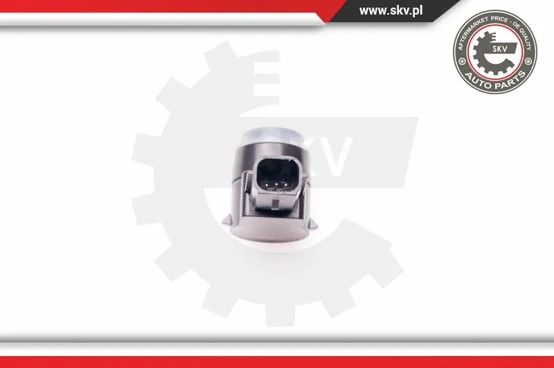Sensor, parking distance control
