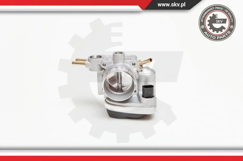 Throttle Body (12SKV037)