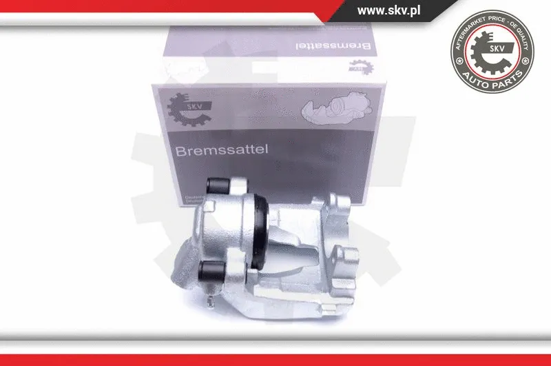 Brake Caliper (44SKV471)