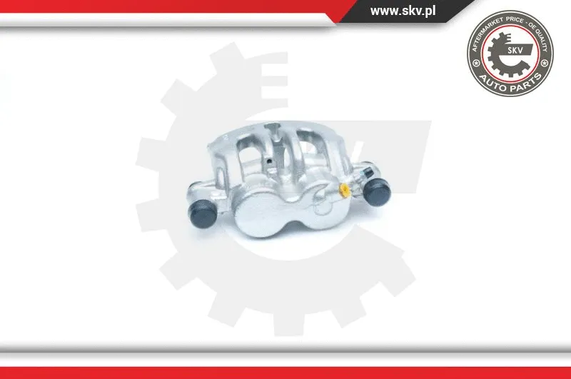 Brake Caliper (23SKV161)