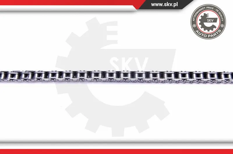 Timing Chain Kit