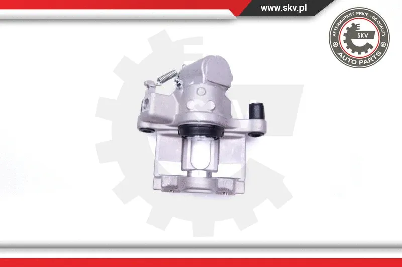 Brake Caliper (42SKV344)