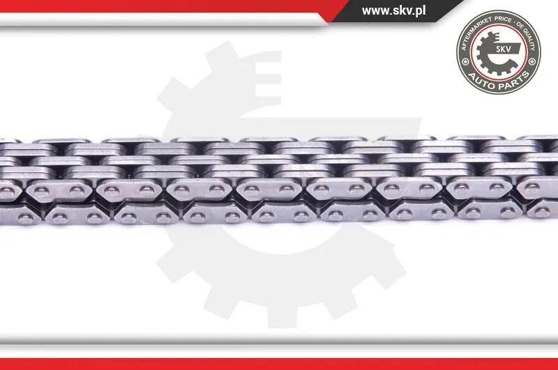 Timing Chain Kit