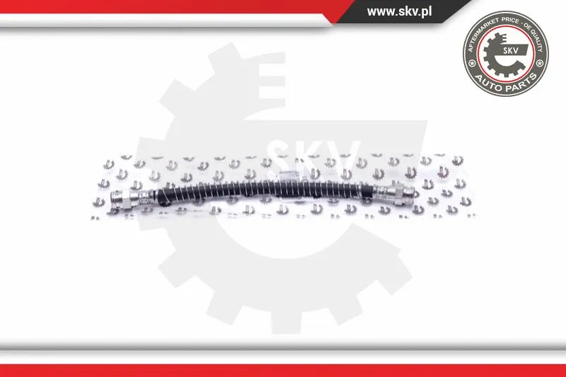 Brake Hose (35SKV133)