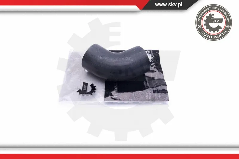 Charge Air Hose (43SKV198)