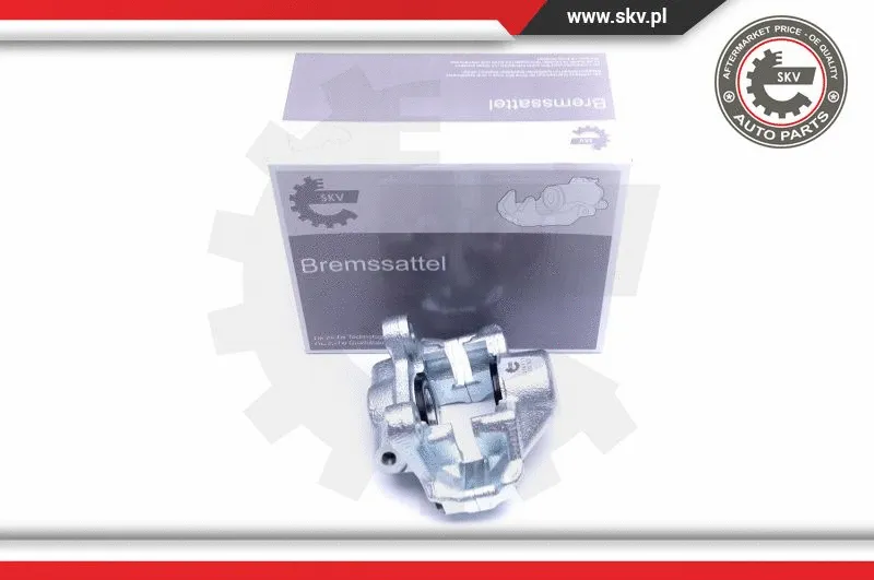 Brake Caliper (42SKV733)