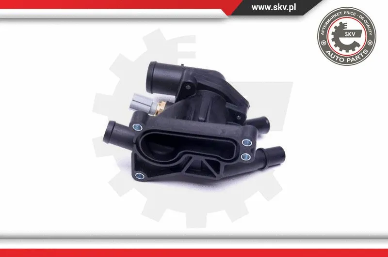 Thermostat, coolant