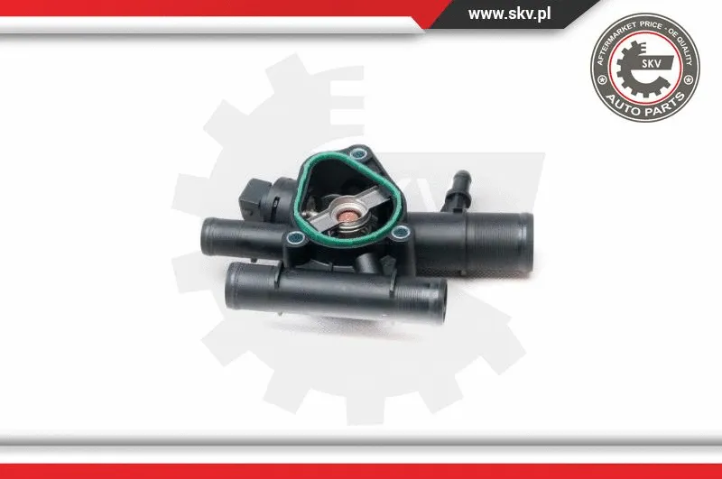 Thermostat, coolant