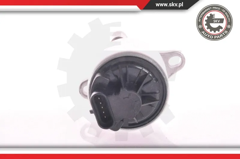 EGR Valve (14SKV002)